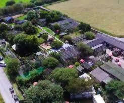 Borth Wild Animal Kingdom